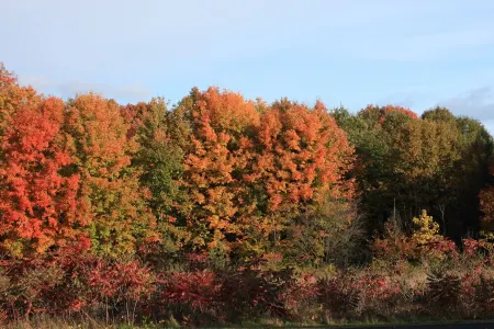Newly remodeled ranch style home located in Lake Leelanau