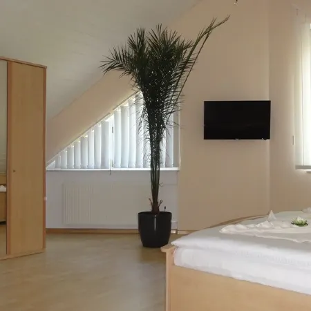 Spacious apartment in a quiet location