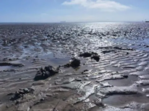 Schaake Schillig near the beach