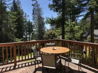 Adorable cottage w/ ocean views, redwoods, and a hot tub. Pets OK!