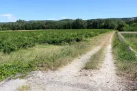 Charming Apartments in the Mas de Soleil (Gîte "Nostalgie