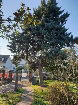House Villa: Les Coteaux 4 Hôtels à proximité de : Paroisse Notre-Dame de Lourdes Argenteuil