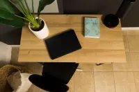 The Cozy Studio