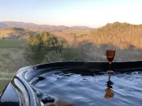 Amazing! Unobstructed Long-Range Mountain Views at 3700’ elevation with Hot Tub