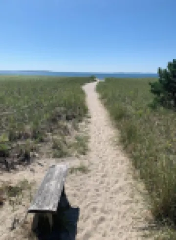 Updated Cottage - Steps to Pine Point Beach!