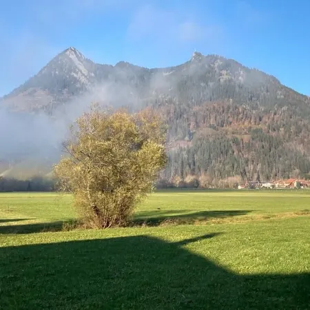 Cozy attic apartment in the heart of the Oberallgäu