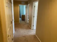 Spacious Beautiful Garden Hideaway w/Patio & Grill