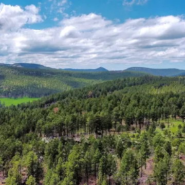 Remodeled modern hermits cabin