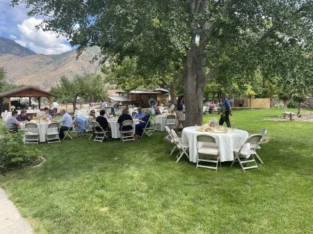 Luxury Basement Apartment with Private Entrance.  Play with Farm Animals!