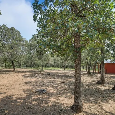 country living in a city. very close to DFW airport. in the heart of town