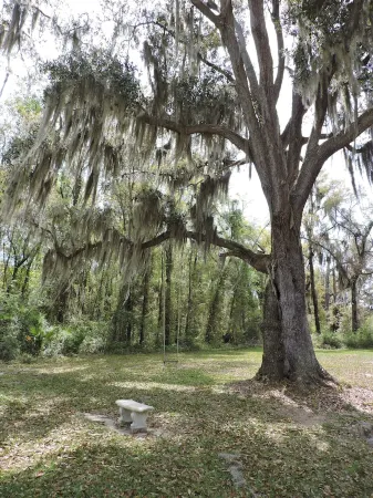 Harris Neck National Wildlife Refuge Cabin - Suite B