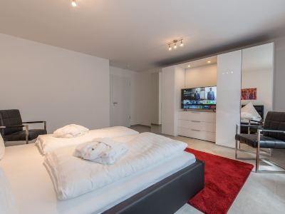 Vis-Ahr-Vis Apartment 1
