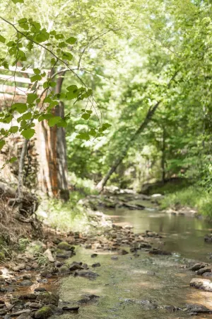 Charming country guest cottage eight miles from downtown Athens and UGA