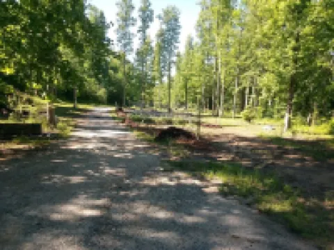 Creek Side Mtn Cabin Near Hiking, Waterfalls, Lakes& Golf. Pets/ Dogs 25lb Less