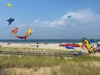 Immaculate Airy Retreat 300ft to Beach - Beach Badges, Linens + Towels Included