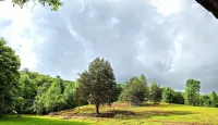 Boho Off-Grid Glamping at Honeysuckle Springs