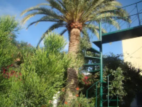 Studio Marcel, Comfortable and economical, Tenerife