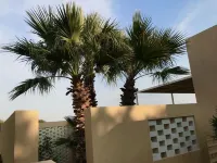 Graffeo Countryside Sea View Homes in Menfi in Sicily - Casa della Palma - Hotels in Menfi