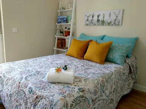 Weeping Cedar. Comfort. Downtown.