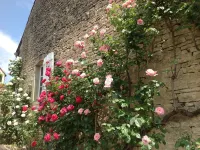 Le P'tit Pichot Charming Cottage in little wine village 8kms from Beaune Hotels in Nantoux