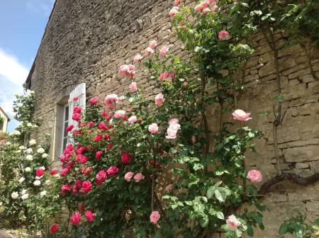 Le P'tit Pichot Charming Cottage in little wine village 8kms from Beaune