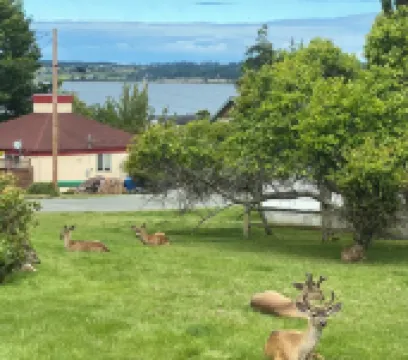 LoveJoy Cottage in quaint historic Coupeville. views of Penn Cove - Pet friendly