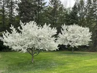 5 minutes to well known mountain bike venue “Kingdom Trails Hotels in Caledonia County