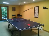 Amazing cabin in the woods near Wisp and Deep Creek Lake