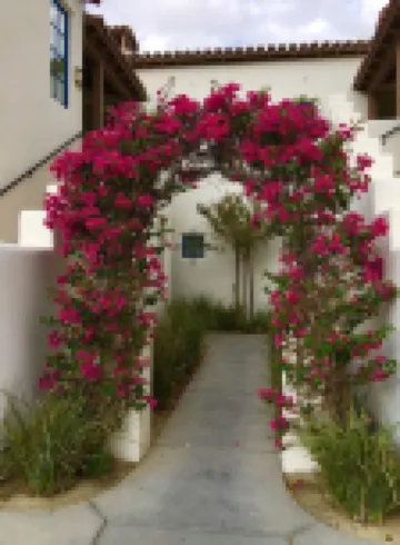 1BR #065127 Resort Villa, Spacious Kit/Liv/Din Rm, Patio, Pool Steps Away