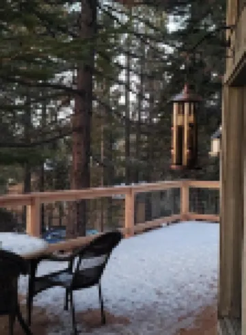 Surrounded by Pines, Family / Pet Friendly minutes from Snow Valley !!!