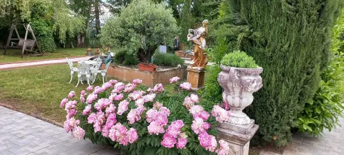 Near Albi, guest house les oliviers - สระว่ายน้ำส่วนตัว