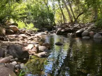 RIVERFRONT Lush&Lux AIRSTREAM Cabin Stunning Views