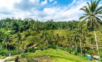 Uma Linggah Resort by Puri Signatures