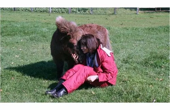 Horse Village馬之宿