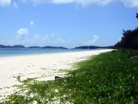 Green CoTo Hotels in TT. Cô Tô