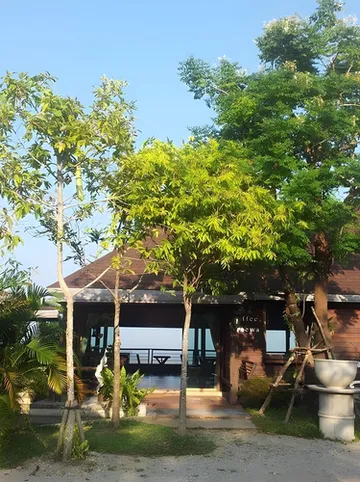 รูปภาพของไร่เกษตรภูแพรวา