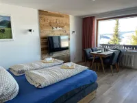 Renovated 1-room apartment