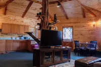 Bear Necessities Cabin, Mesa Verde Getaway