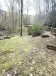 Buck Creek Cabin -  Between Highlands and Franklin NC