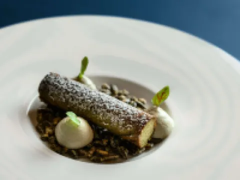 Tribe Budapest Airport Hotels in Vecses