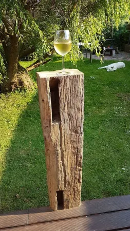 Apartment -Vogelflug- in the house at the pond pet friendly and cozy