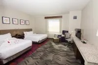 Hilton Garden Inn Tampa Suncoast Parkway Hotels in Keystone