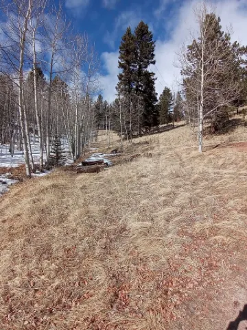 Bear Foot Getaway: Secluded Cabin in Aspens, deck, Hot Tub, 6Mi to Cripple Creek