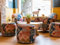 The Sheep and Penguin Hotels in Wells