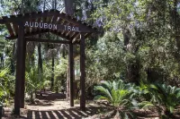 627 Newhaven Hotels in Fripp Island