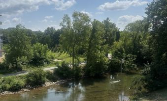 Little Pigeon River 309 1Bd Condo with River View Private Balcony by RedAwning