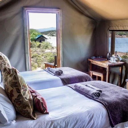 Buffelsdrift Game Lodge