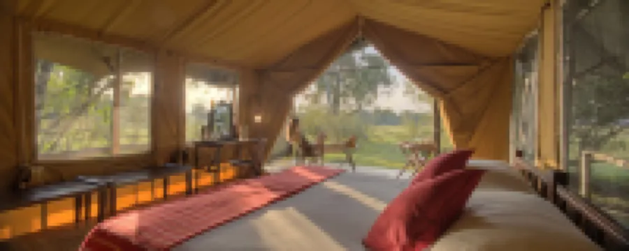 Elephant Pepper Camp