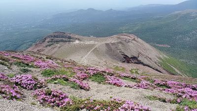 ホテル周辺 霧島国際ホテルの写真