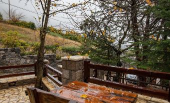 Dandy Villas Agoriani